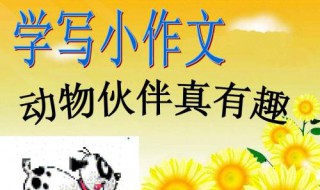 我和小动物的故事作文500字