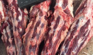 牛尾巴怎么做好吃 牛尾巴怎么做好吃又营养