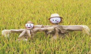 稻草人的好词好句（稻草人的好词好句摘抄）