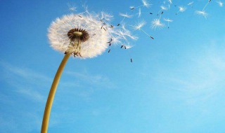 七月你好的句子(七月你好的句子励志)