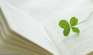 有关桥的故事与传说 有关桥的故事与传说有关