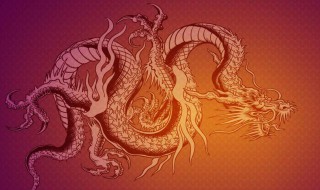 有关龙的故事（有关龙的故事简短）