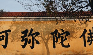 阿弥陀佛的故事（阿弥陀佛的故事一至十集视频）