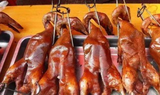 鸭肉相克大全(鸭肉相克大全表)