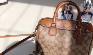 蔻驰是哪个国家的品牌 蔻驰是哪个国家的品牌鞋子