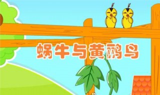 夏日炎炎有你超甜完整歌词介绍（夏日炎炎有你超甜歌曲完整版）