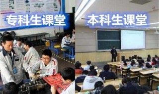 本专科生是什么意思和本科生专科生有什么区别啊 本科生与专科生主要区别介绍