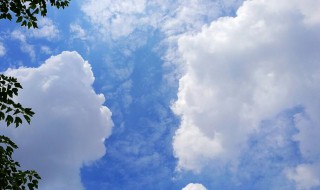 洁白的什么（洁白的什么像鹅毛）