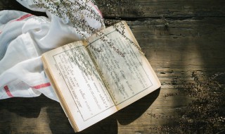 一什么而什么成语 一什么而什么成语景阳冈