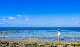 舒服的近义词是什么 舒服的近义词是什么(最佳答案