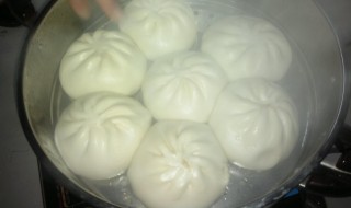 紫水晶包子的制作方法 紫水晶包子的制作方法窍门