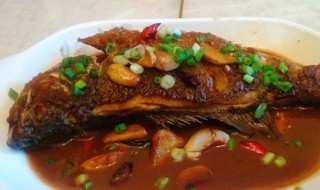 红烧鲈鱼的做法（红烧鲈鱼的做法 最正宗的做法）