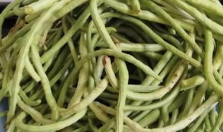 如何储存豆角的方法 怎样储存豆角?冬天吃下新的