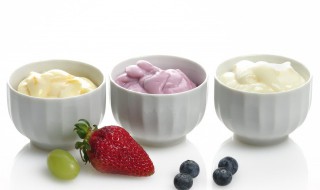 酸奶糕的制作方法 酸奶糕的制作方法视频教程