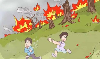 森林火灾逃生方法简短 森林火灾逃生方法简短总结