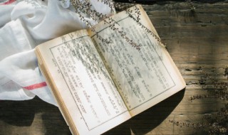 山川美可入画的句子再写两个 山川美可入画的句子再写两个字怎么写