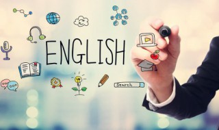 seagull怎么读音 seagulls的读音