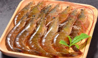 白菜炖虾怎么做好吃 白菜炖虾怎么做好吃又简单