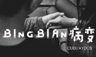 bingbian病变歌词 bingbian病变歌词是什么意思