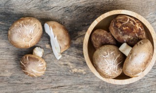 排骨烧香菇怎么做好吃 香菇烧排骨的做法