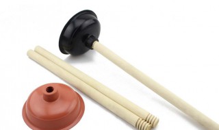 皮搋子怎么读 皮搋子怎么读拼音