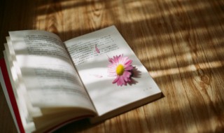 扌怎么读 掀怎么读