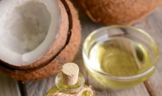 椰子英语怎么读（椰子英语怎么读 语音）