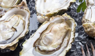 生蚝怎么炒好吃 生蚝怎么炒好吃?