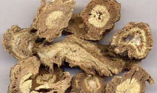 木香炖肉起什么作用（炖肉必须的三种香料）