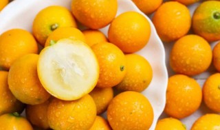 小金桔一天最多能吃多少个（小金桔一次吃几个合适）