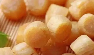 干贝是什么 干贝是什么东西做的