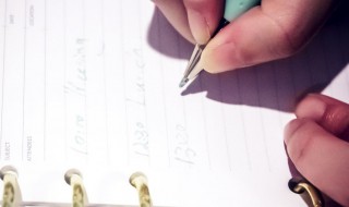 毕业生个人总结范文（毕业生个人总结范文500字）