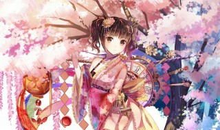 什么是二次元 什么是二次元女生