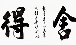 舍与得的感悟（舍与得的感悟短语）