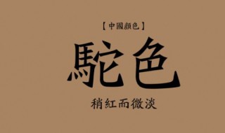 驼色配什么颜色好看（奶茶驼色配什么颜色好看）