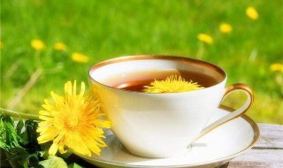喝蒲公英水有什么好处 女性喝蒲公英水有什么好处