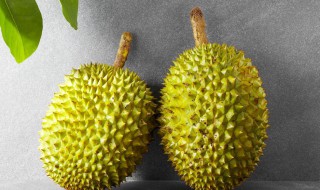 男人吃榴莲有什么好处（女人多吃榴莲有什么好处）
