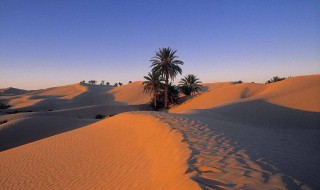 沙漠是怎么形成的 沙漠是怎么形成的原因