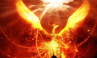 涅盘重生是什么意思(涅盘重生是什么意思? - 搜狗问问)