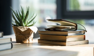 登徒子是什么意思啊 登徒子是什么意思啊仓央嘉措