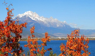 丽江旅游什么季节好 丽江旅游什么季节好看