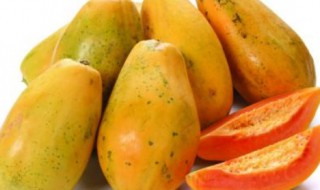 吃什么可以丰胸比较快（吃什么可以丰胸比较快百度回答）