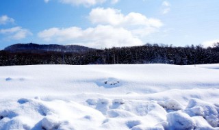 雪怎么形成的 雪怎么形成的物态变化