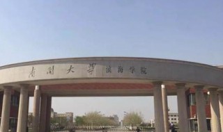 南开大学滨海学院怎么样（南开大学滨海学院怎么样好不好）
