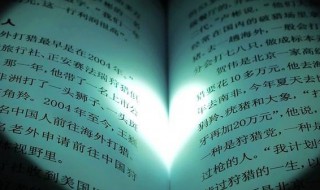 关于爱的作文开头（关于爱的作文开头神仙句子）