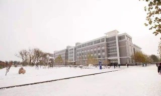 天津理工大学中环信息学院怎么样（天津理工大学中环信息学院怎么样就业前景）