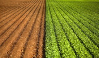 肥沃的意思 肥沃的拼音