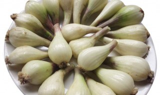 荞头的功效与作用 醋泡荞头的功效与作用