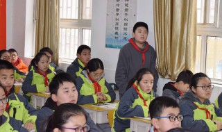 作文我的小伙伴（作文我的小伙伴300字）