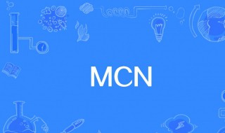 mcn的来源和意思（mcn行业是什么）